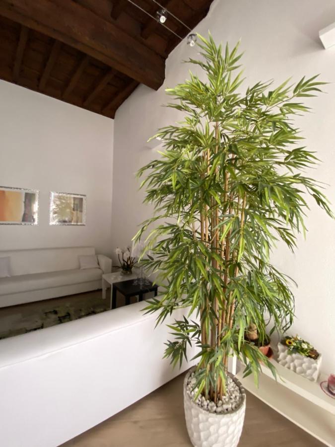 Suite Viterbo Centro Buitenkant foto